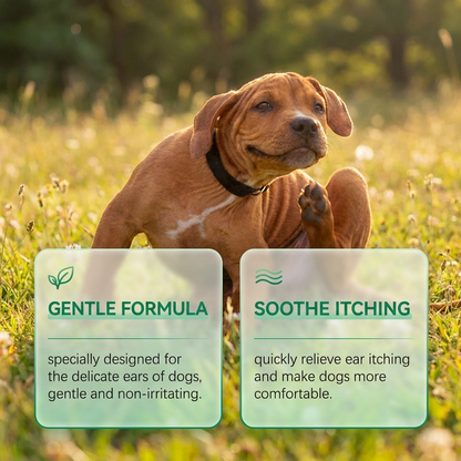Washlyt Ear Defense+ | Advanced Anti-Yeast & Itch Formula